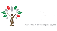 Diverse Organization of firms